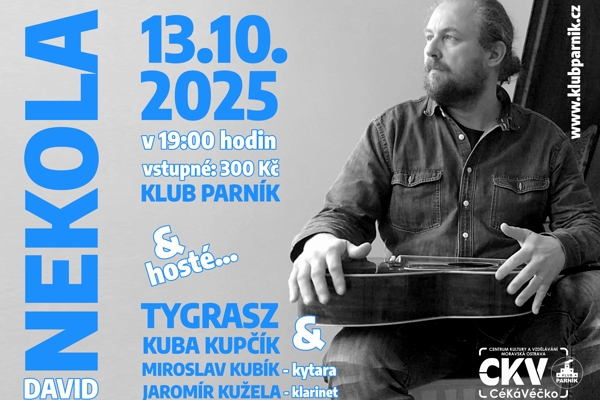David Nekola-plakát.jpg